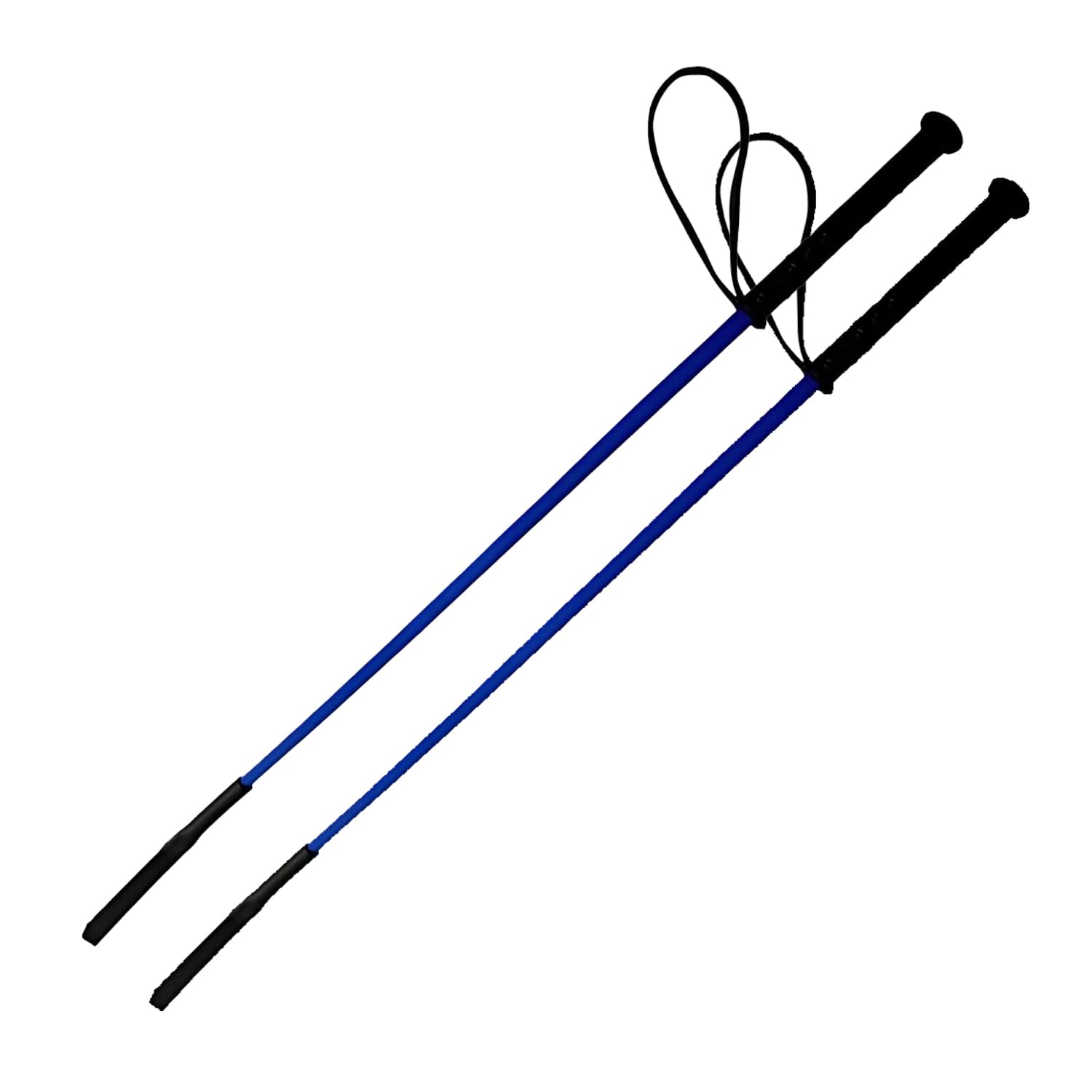Pet Training Hunter Stick (Pack of 2)