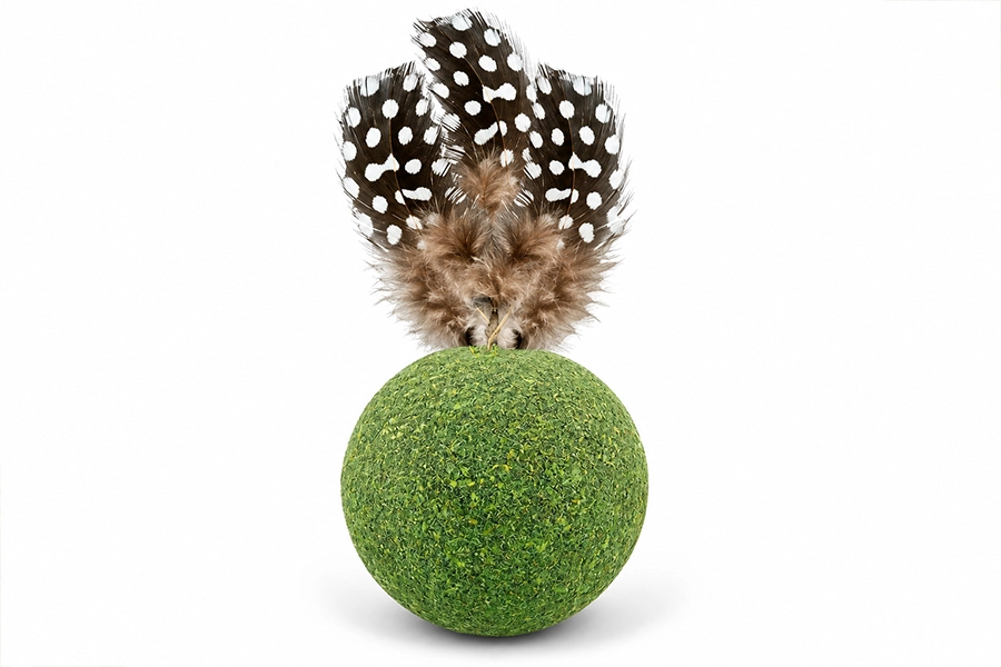 Catnip Mint Ball Toy Combo